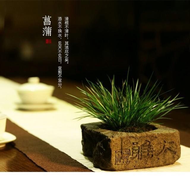 菖蒲色_菖蒲色_菖蒲色