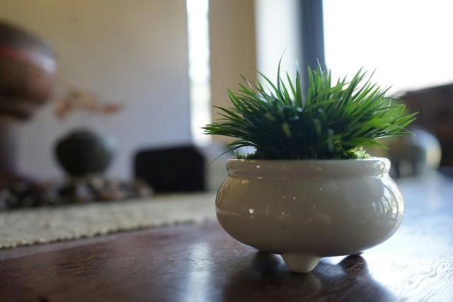 菖蒲色_菖蒲色_菖蒲色