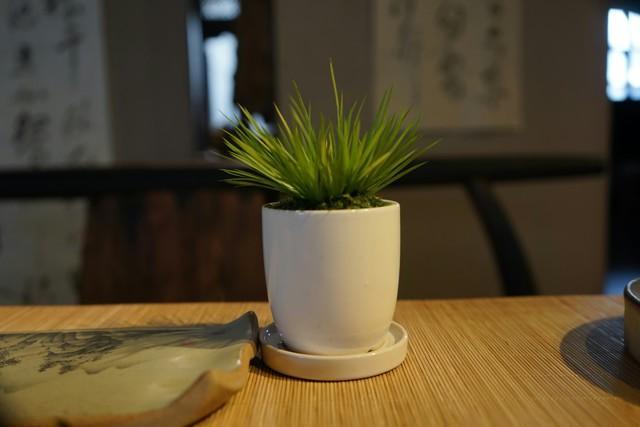 菖蒲色_菖蒲色_菖蒲色