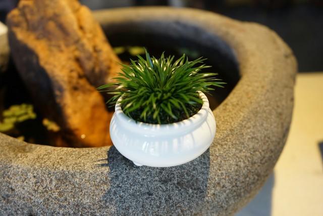 菖蒲色_菖蒲色_菖蒲色