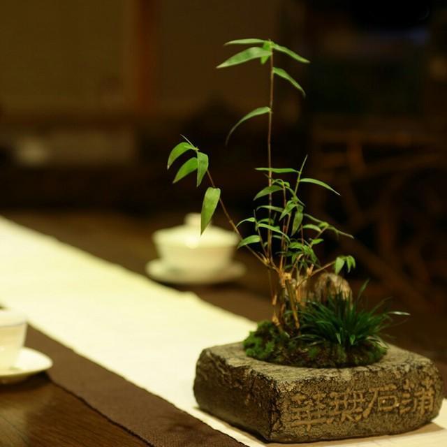 菖蒲色_菖蒲色_菖蒲色