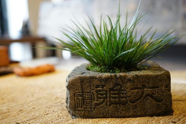 菖蒲色_菖蒲色_菖蒲色