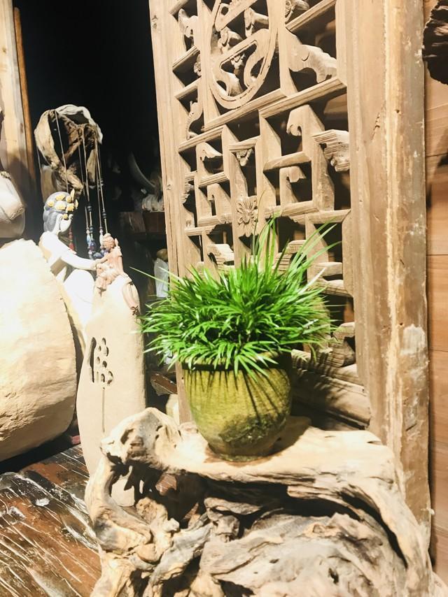 菖蒲色_菖蒲色_菖蒲色