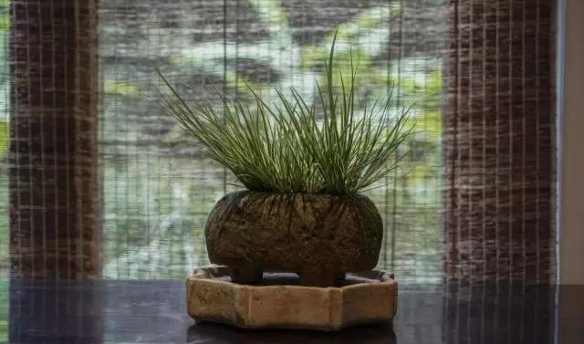 菖蒲色_菖蒲色_菖蒲色