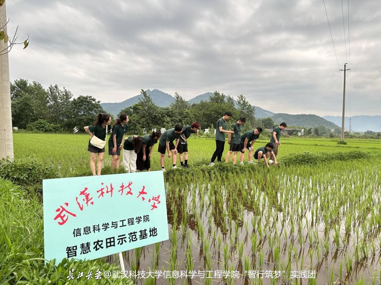 山东财经大学是211还是985_山财在山东大学里的排名_财经类山东大学排名