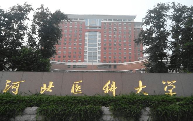 河北师范大学大不大_河北师范大学是211吗_河北师范大学算985吗