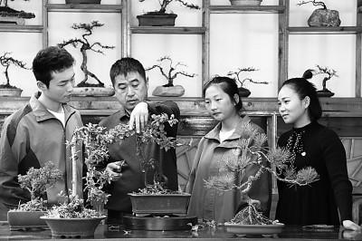 沙溪理工2020年录取分数线_沙溪理工学校录取分数线_沙溪理工学校分数线2021