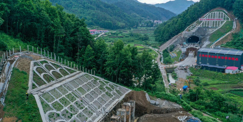 高铁绿色地标啥意思_绿色高铁_高铁绿色通道怎么申请