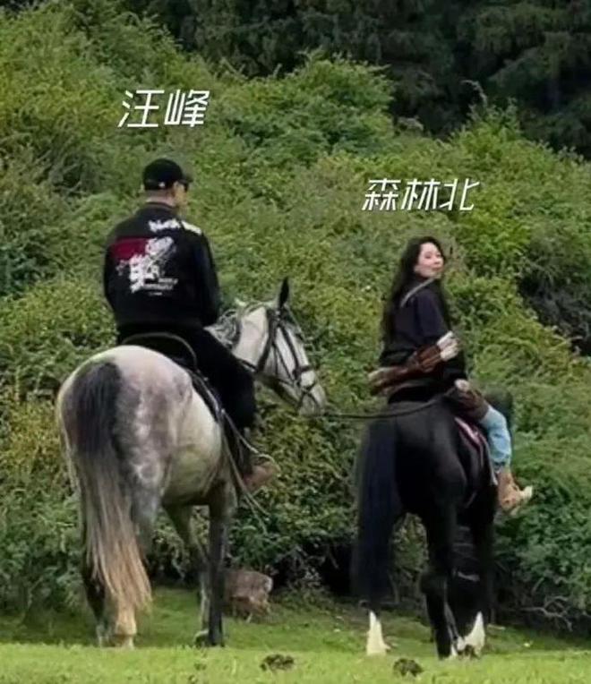 宣的意思_或王命急宣意思_宣意思和含义