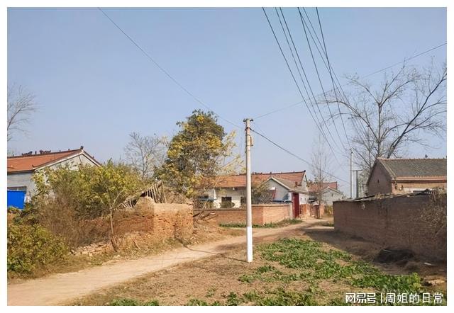 闪闪金光是AABC吗_闪闪金光有这么个词语吗_金光闪闪