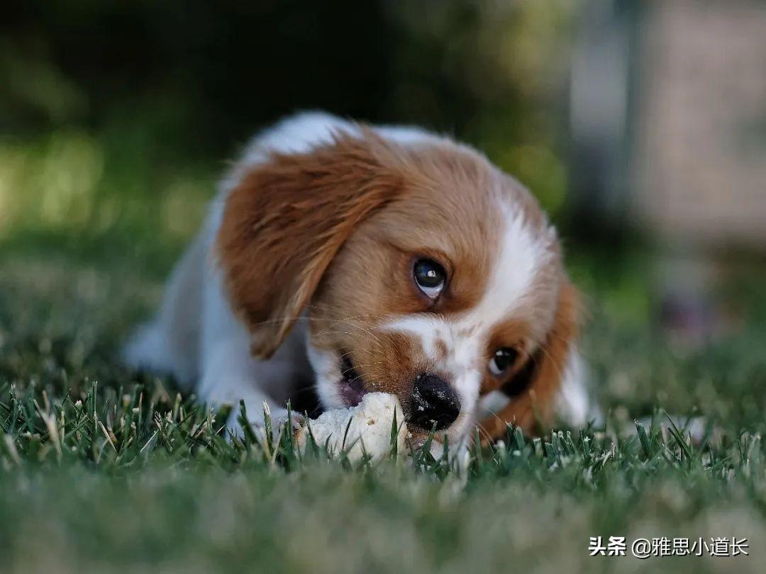 example是什么邮箱_example是什么意思_example