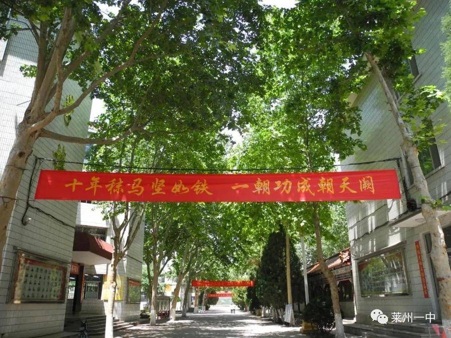 莱洲一中_莱州一中2018级_莱州一中