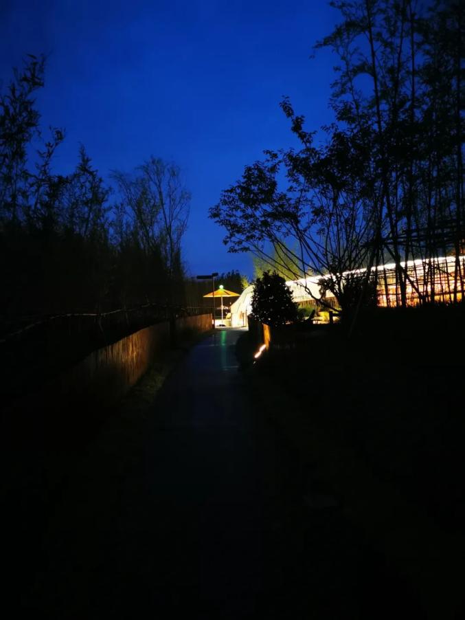 竹篁_竹篁里古诗_竹篁里