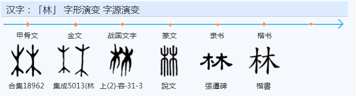 榉怎么读_榉粤语怎么读_读榉木崖下的小黑后感