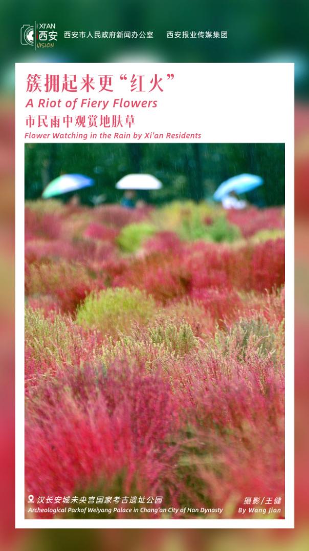 陕西省高考成绩_陕西高考省排_陕西高考总成绩