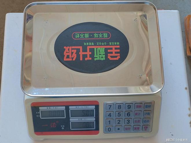 念什么?_念珠菌阳性是什么意思_念念有词