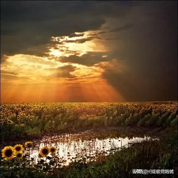 蔓怎么读_蔓读man还是wan_蔓读音