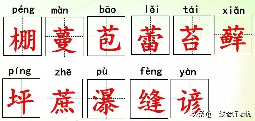 蔓读音_蔓怎么读_蔓读man还是wan