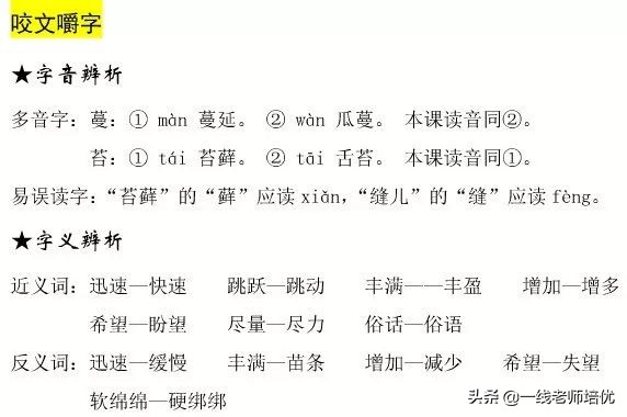 蔓读man还是wan_蔓读音_蔓怎么读