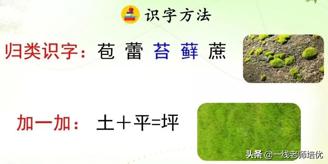 蔓读音_蔓读man还是wan_蔓怎么读