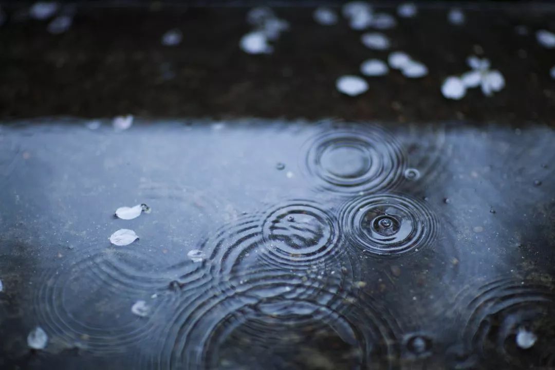 天要下雨娘要嫁人下一句怎么接_关于天要下雨娘要嫁人的说说_要下雨娘要嫁人什么含义