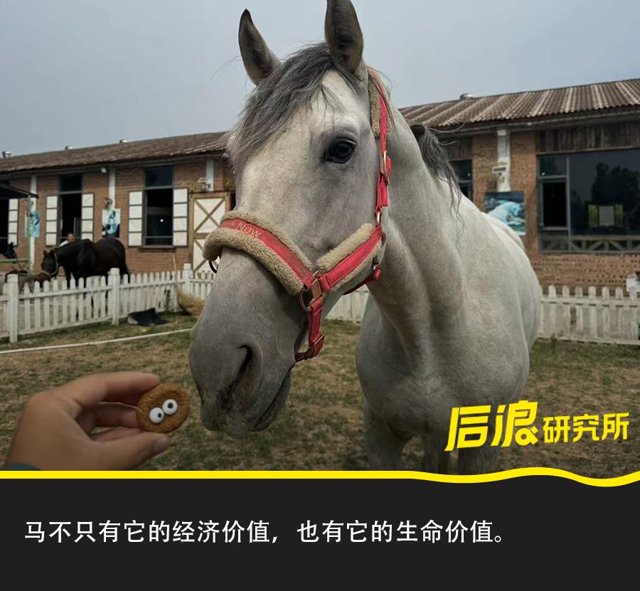 懒懒散散_懒懒散散反义词_懒懒散散读音