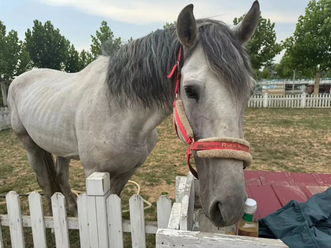 懒懒散散反义词_懒懒散散读音_懒懒散散