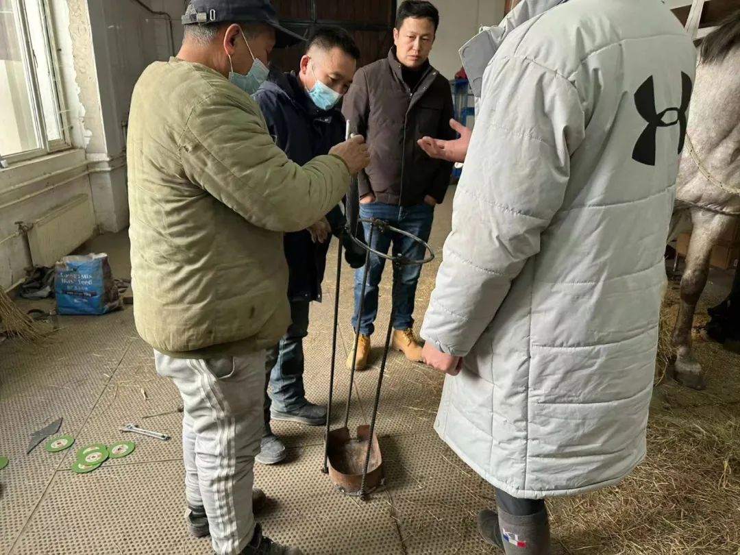 懒懒散散反义词_懒懒散散_懒懒散散读音