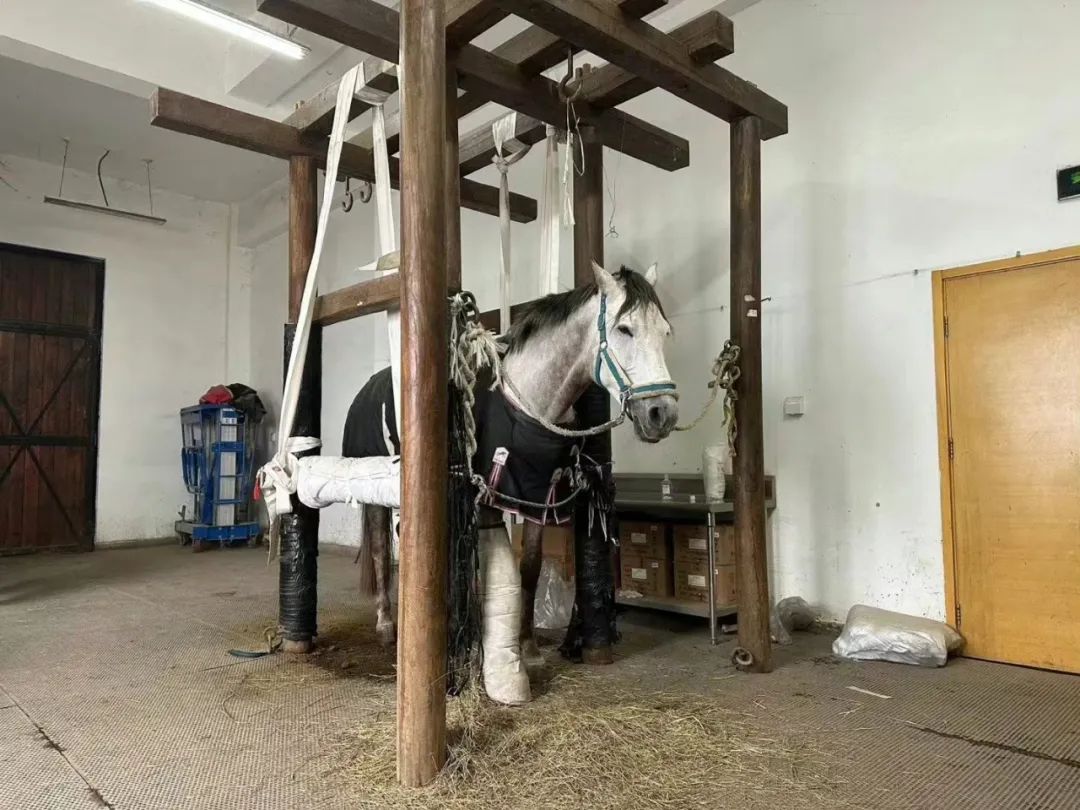 懒懒散散读音_懒懒散散反义词_懒懒散散