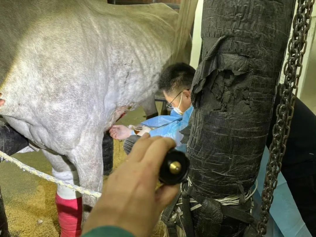 懒懒散散读音_懒懒散散_懒懒散散反义词