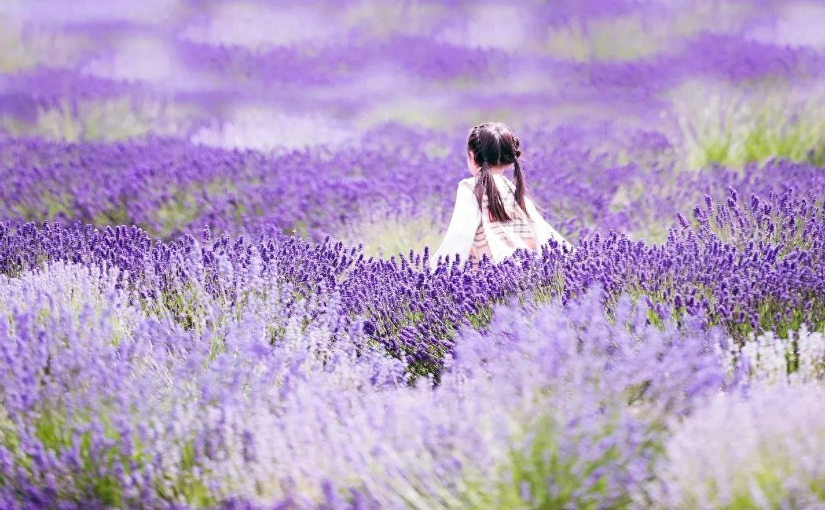 咄怎么读_咄怎么读_咄怎么读