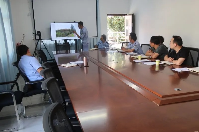 鬓的笔顺_鬓的草书_鬓