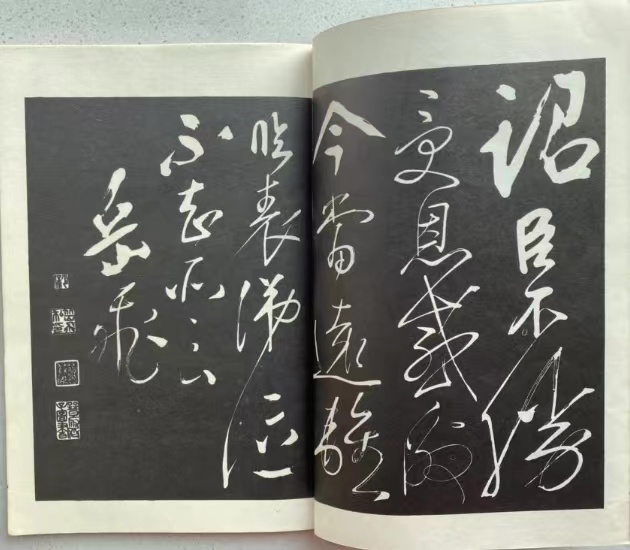 坐以待旦_坐以待旦_坐以待旦