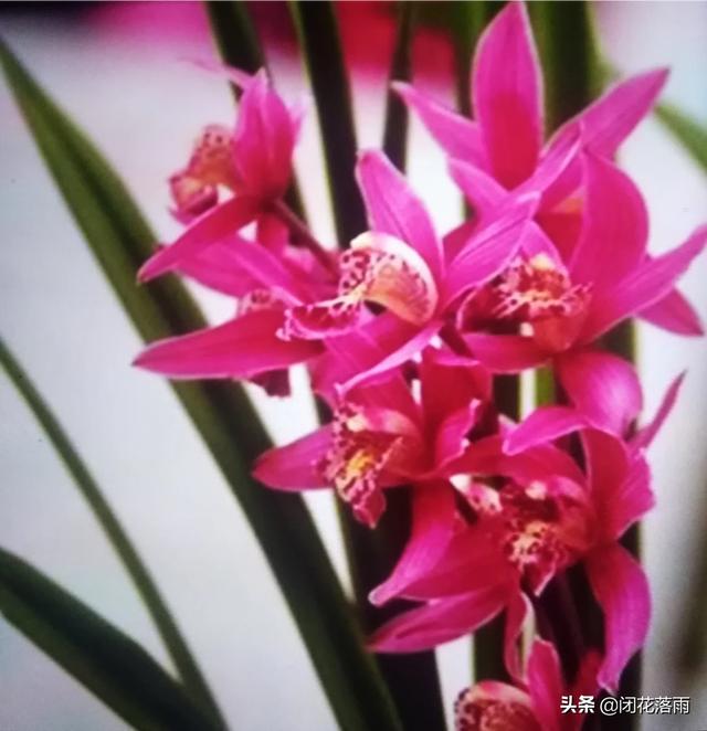 关干读书的心得体会_干怎么读_哭声直上干云霄的干怎么读