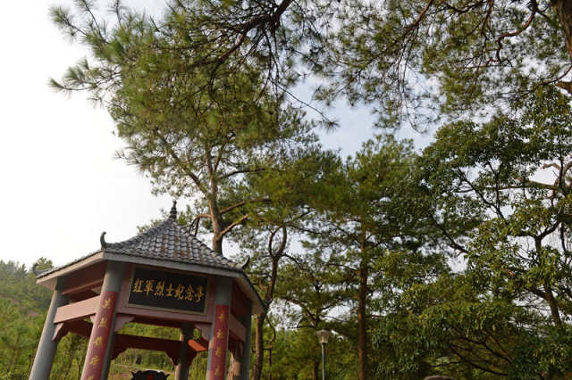 催眠app手游_催_催眠曲纯音乐很快入睡