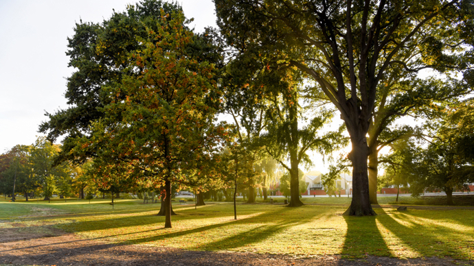 参读shen的时候组什么词_参怎么读_参读音