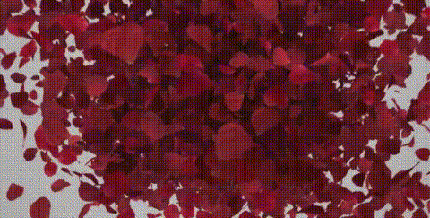 床英语_床英语拼写_床英语怎么写