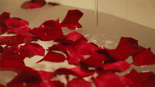 床英语_床英语拼写_床英语怎么写