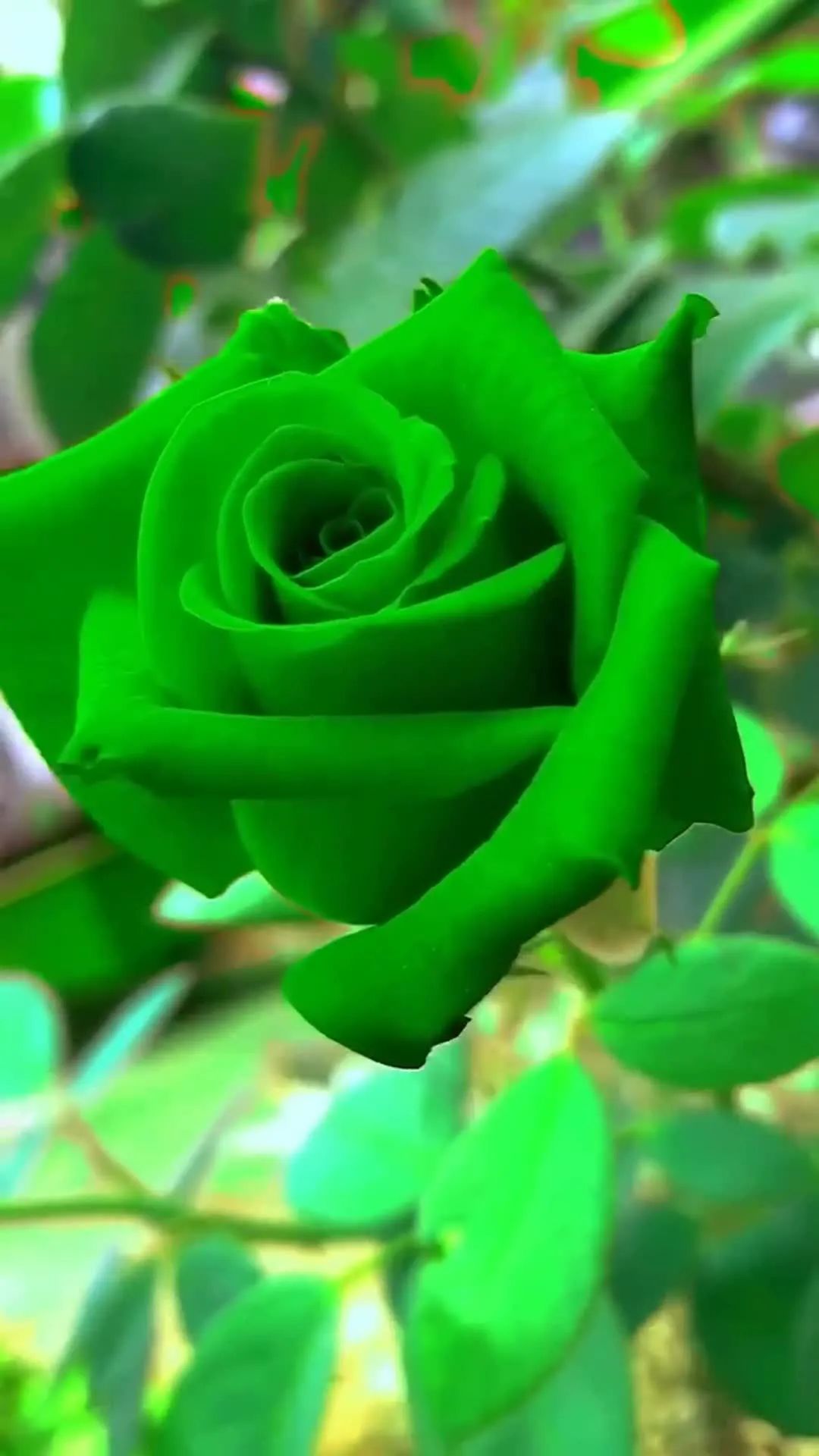 床英语拼写_床英语怎么写_床英语