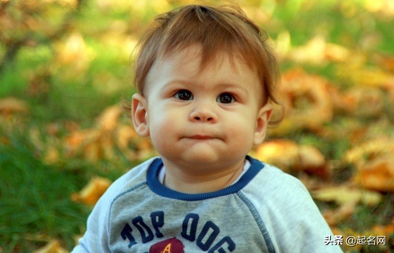 德的读音_兀的读音两个读音_戆第德读音