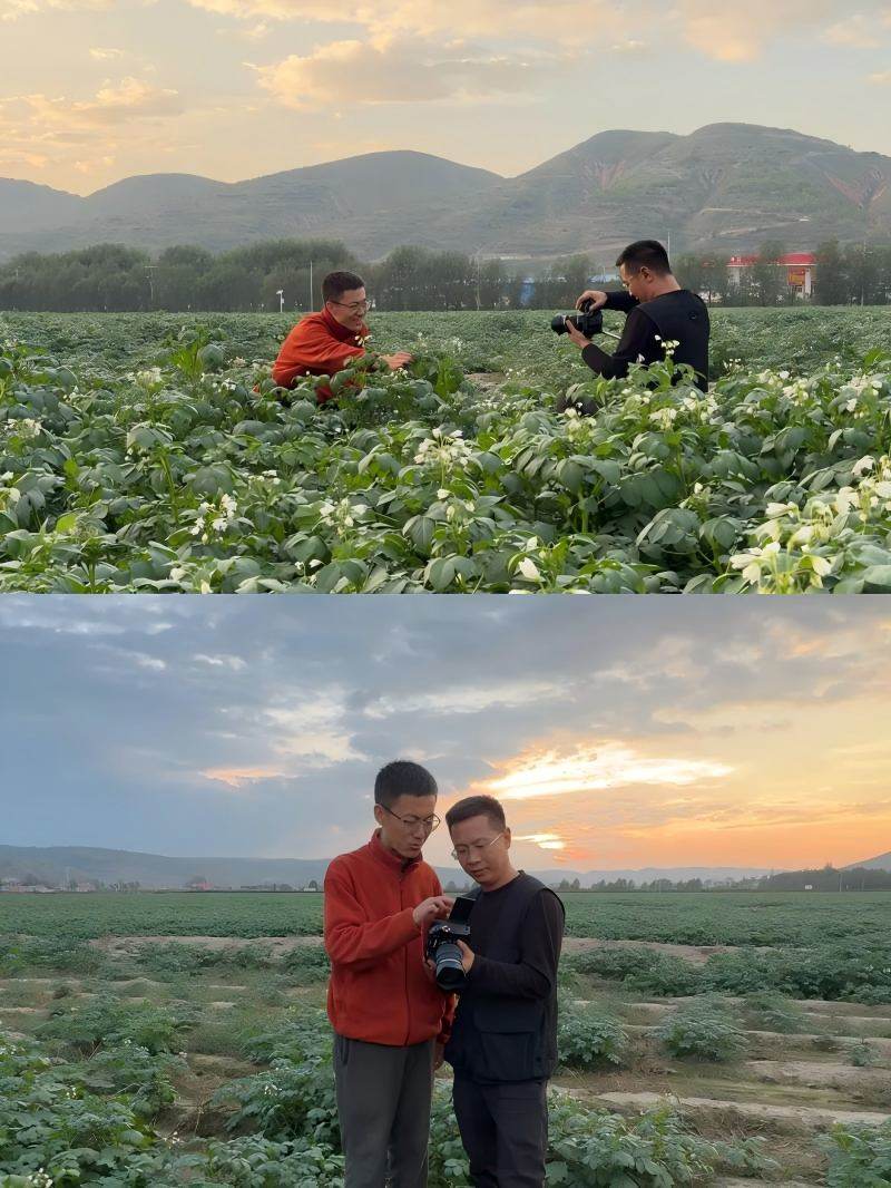 履读什么拼音_履读音_履怎么读