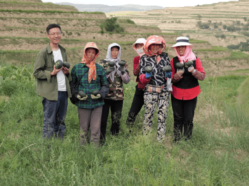 履读什么拼音_履读音_履怎么读