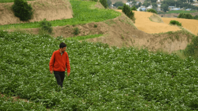 履读音_履读什么拼音_履怎么读