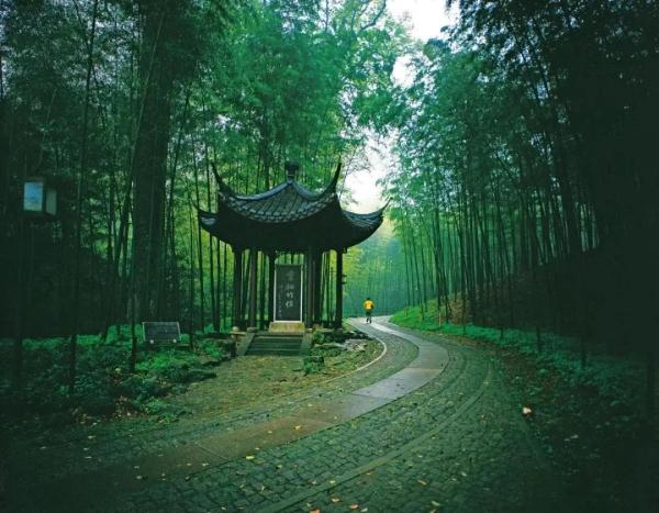 六成以上的人都念错！杭州这些常见地名你真的会读吗？赶紧来挑战！