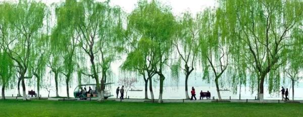 六成以上的人都念错！杭州这些常见地名你真的会读吗？赶紧来挑战！