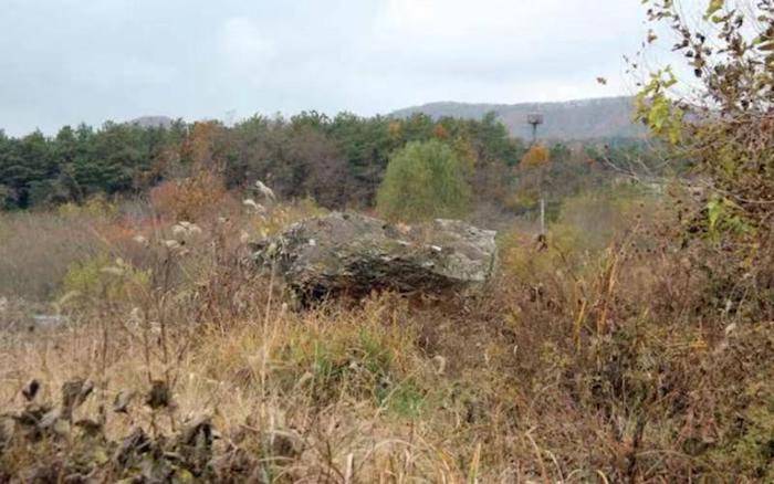 孤偏旁是什么怎么读_孤的偏旁是什么_孤偏旁是什么