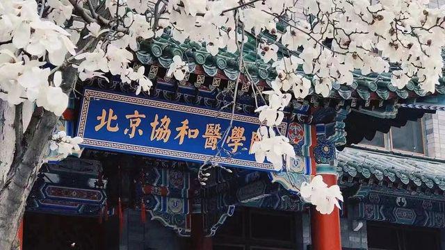 2023高考大学分数线_2023高考录取分数线_2021高考分数线大学