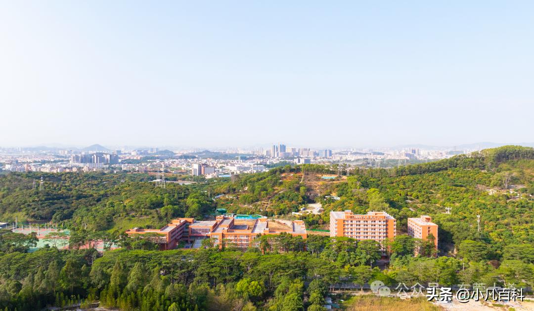 松山湖未来学校简介_松山湖未来学校2023年招生_松山湖未来学校规划