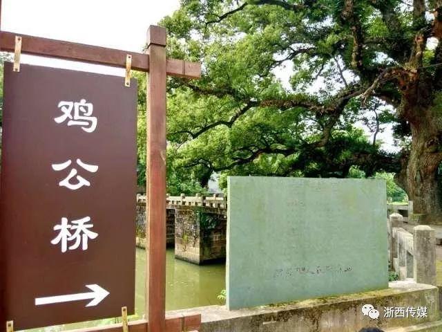 蜈蚣天敌是什么梗_蜈蚣的天敌什么意思_蜈蚣的天敌是蛇吗