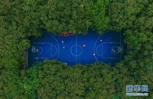 开放日汇总！广州30多所学校发起邀约